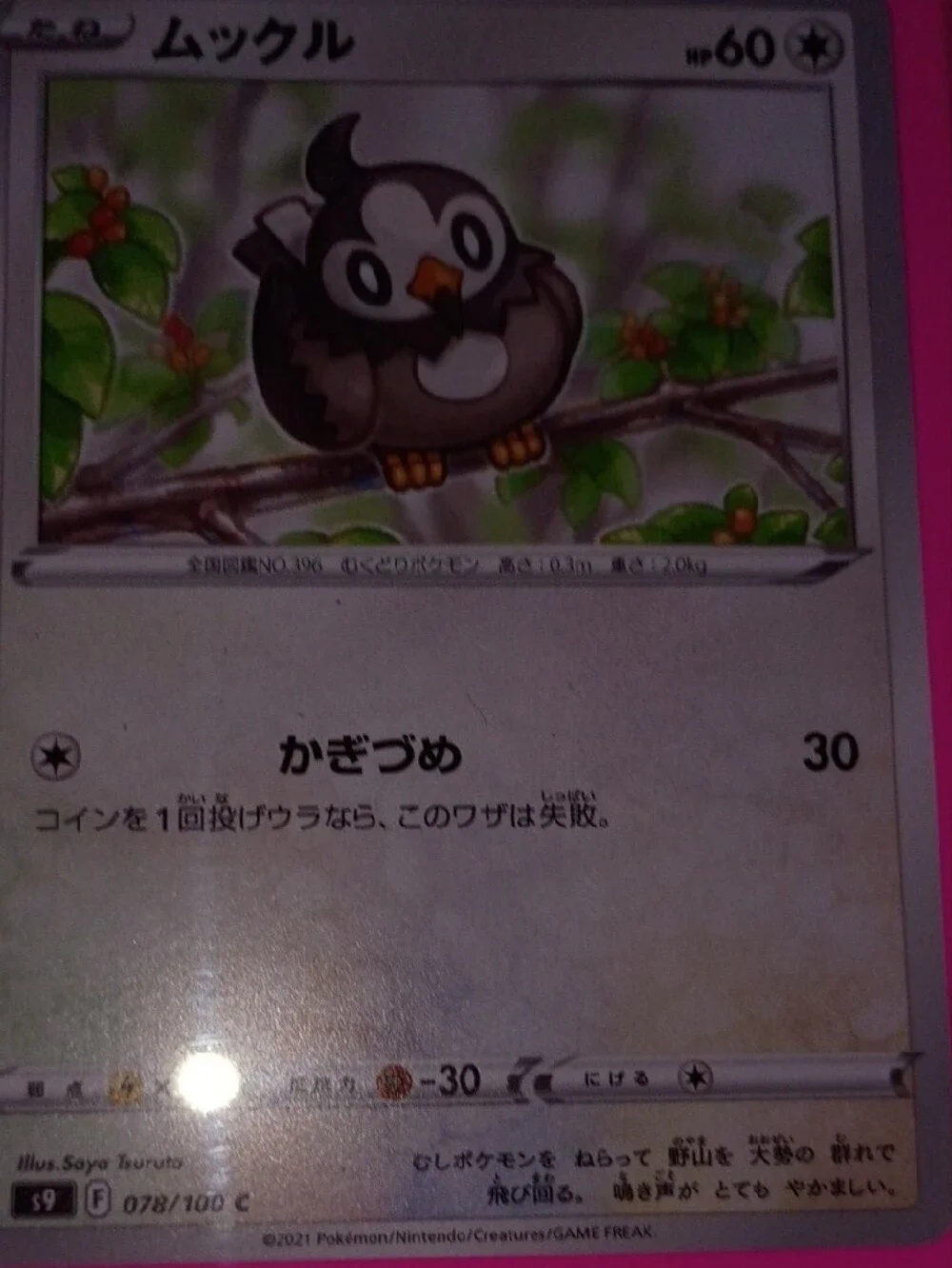 Pokemon Card Lot